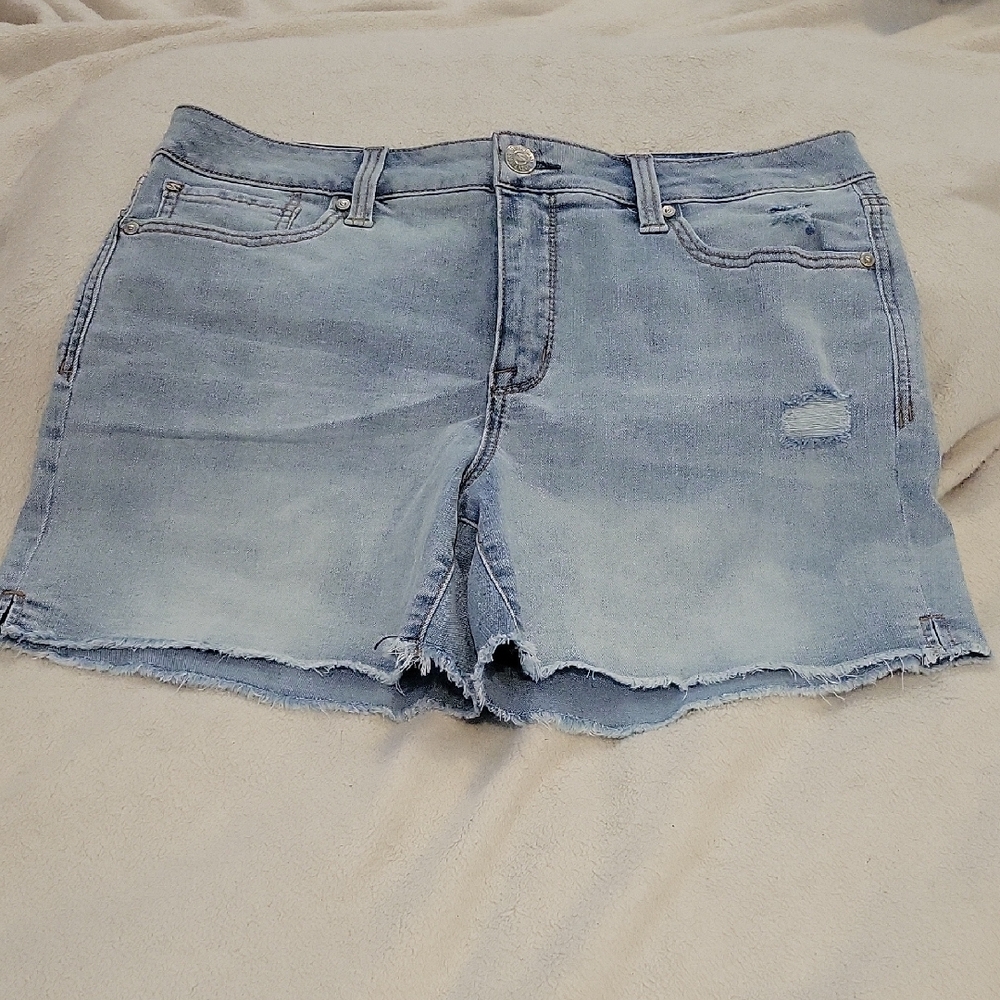 Seven7 Light Blue Jean Shorts for Women
